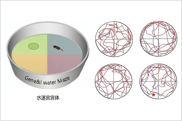 (图1)