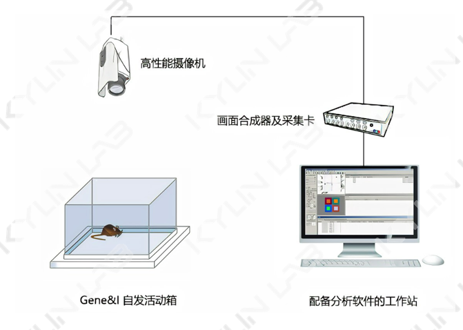 (图1)
