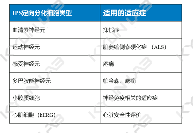 干细胞模型(图1)