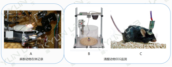 直播回顾 | 《电生理技术在CNS药物研发中的应用及转化意义》(图6)