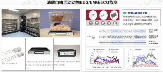 直播回顾 | 《电生理技术在CNS药物研发中的应用及转化意义》(图7)