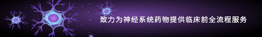 世界渐冻人日 | 聚力ALS新药研发，探索治疗新方向(图1)